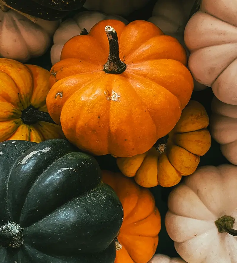 Citrouilles